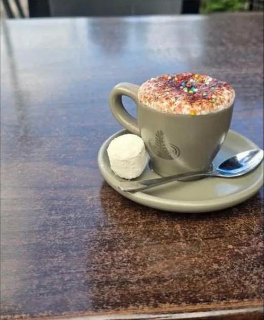 A hot chocolate with sprinkles and a marshmallow