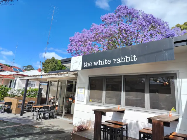 The White Rabbit's shopfront on Grey Street under a jacaranda in bloom